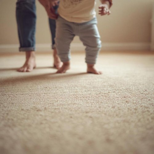 Carpet Inspiration from Floor Coverings of Winona in Winona, MN