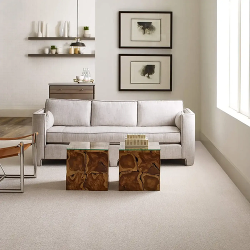 Carpet Inspiration Gallery in Winona, MN