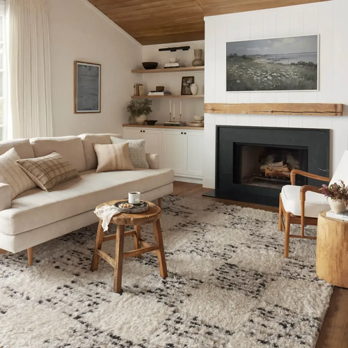 Area Rugs Inspiration Gallery in Winona, MN