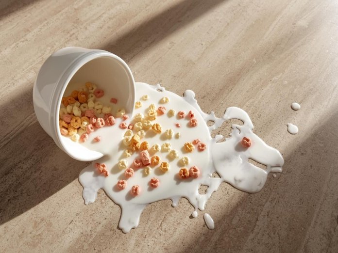 Dealing With Laminate Spills & Stains with Floor Coverings of Winona in Winona, MN