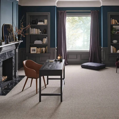 Carpet Inspiration Gallery in Winona, MN