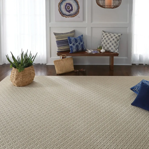Area Rugs Inspiration Gallery in Winona, MN