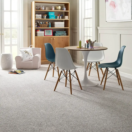 Carpet Inspiration Gallery in Winona, MN