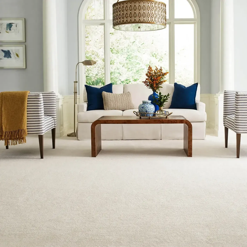 Carpet Inspiration Gallery in Winona, MN