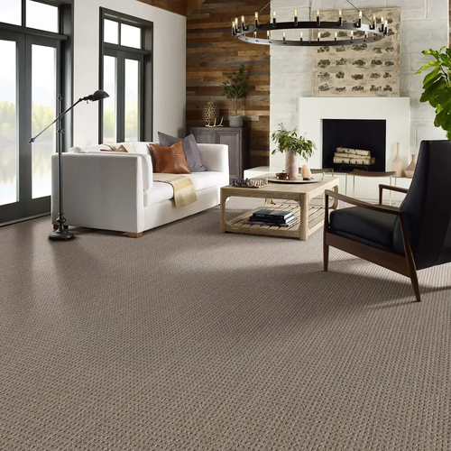 Carpet Inspiration Gallery in Winona, MN